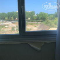 фото из отзыва ID 2303539