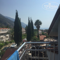 фото из отзыва ID 2303788