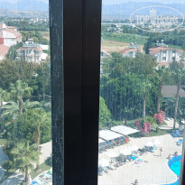 фото из отзыва ID 2304378