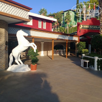 фото из отзыва ID 2309995