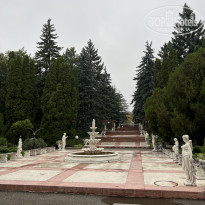 фото из отзыва ID 2313436