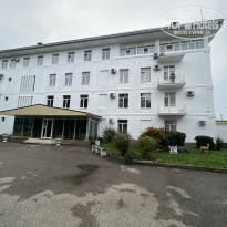 фото из отзыва ID 2313436