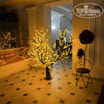 фото из отзыва ID 2313436