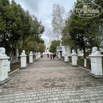 фото из отзыва ID 2313436