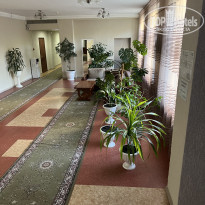 фото из отзыва ID 2313436