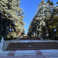 фото из отзыва ID 2313436