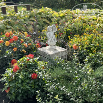 фото из отзыва ID 2313436