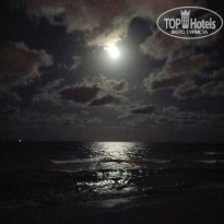 фото из отзыва ID 2316940