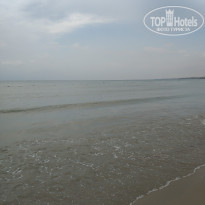 фото из отзыва ID 2318231