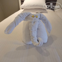 фото из отзыва ID 2319525