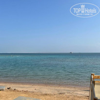 фото из отзыва ID 2323389