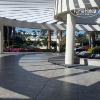 фото из отзыва ID 2326141