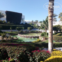 фото из отзыва ID 2326141