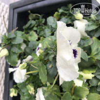 фото из отзыва ID 2327417