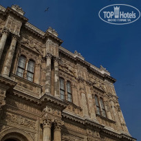 фото из отзыва ID 2329663