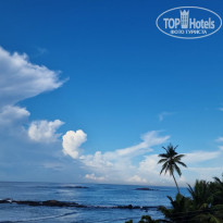 фото из отзыва ID 2332534