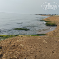 фото из отзыва ID 2341095