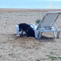 фото из отзыва ID 2341095