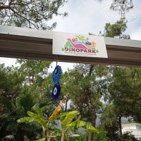 фото из отзыва ID 2352326