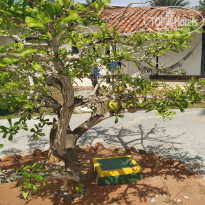 фото из отзыва ID 2358867