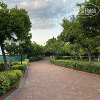 фото из отзыва ID 2359788