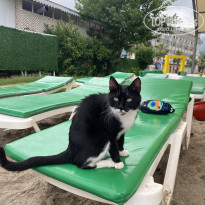 фото из отзыва ID 2357804