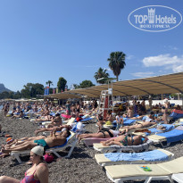 фото из отзыва ID 2357804