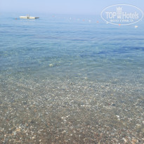 фото из отзыва ID 2362657