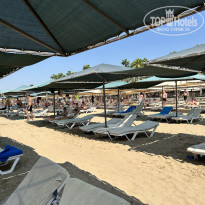 фото из отзыва ID 2373154