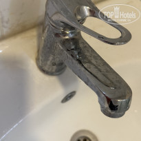 фото из отзыва ID 2374758