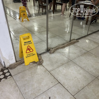 фото из отзыва ID 2375589