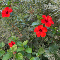 фото из отзыва ID 2376190