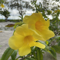 фото из отзыва ID 2382617