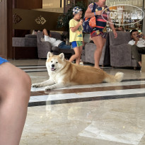 фото из отзыва ID 2383293