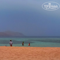 фото из отзыва ID 2385389