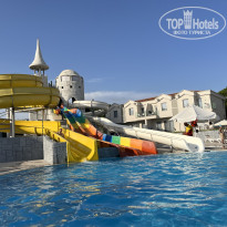 фото из отзыва ID 2386248