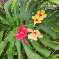 фото из отзыва ID 2386871