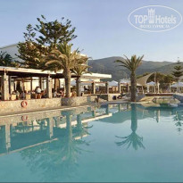 фото из отзыва ID 240121