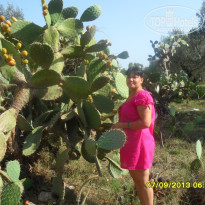 фото из отзыва ID 2442481