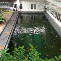 фото из отзыва ID 2441161