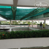 фото из отзыва ID 2441161