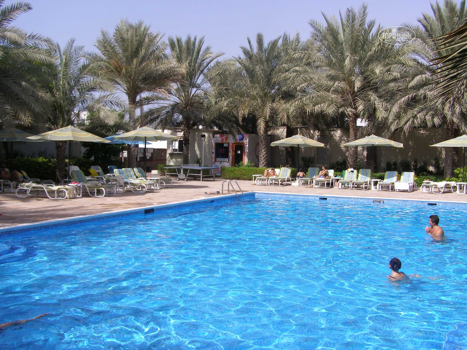 Coral beach resort sharjah. Корол Бич Шарджа. Шарджа Coral Beach Resort море. Гостиница около корол Бич в Шардже. Корал Бич Резорт Шарджа 4 видео.