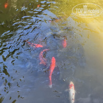 фото из отзыва ID 2570566