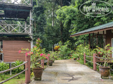 Borneo Nature Lodge 2*