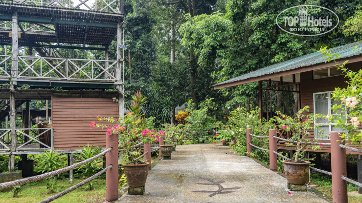 Фотографии отеля  Borneo Nature Lodge 2*