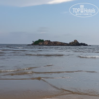 фото из отзыва ID 2570993