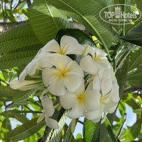 фото из отзыва ID 2578686