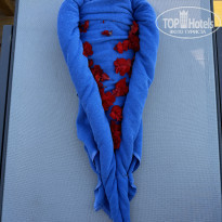 фото из отзыва ID 2584794