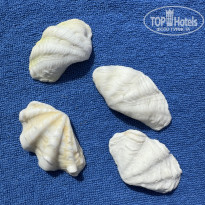 фото из отзыва ID 2584794