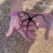 фото из отзыва ID 2584794